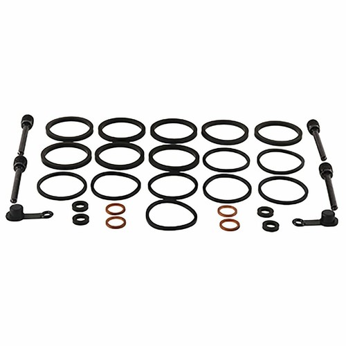 Kit revisione pinza freno - revisione,